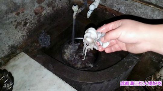 老麻抄手(≧ω≦)/ 2019-12-27 21点场