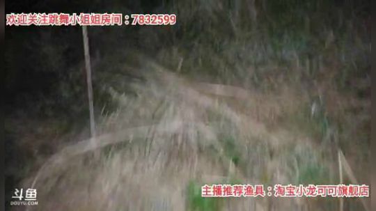 十一郎君01发布了一个斗鱼视频2019-12-29