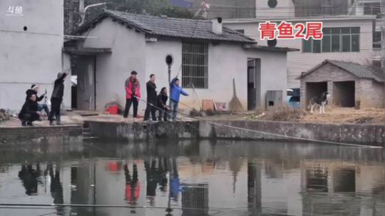 420上岛干大青 2019-12-30 15点场