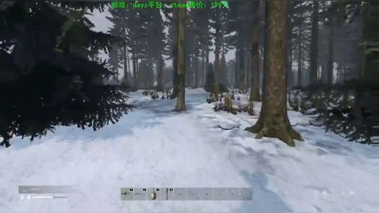 dayz 僵尸末日 新地图 2019-12-29 18点场