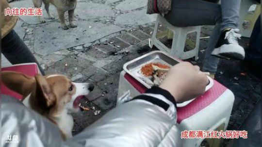 基地美食(≧ω≦)/ 2019-12-30 17点场