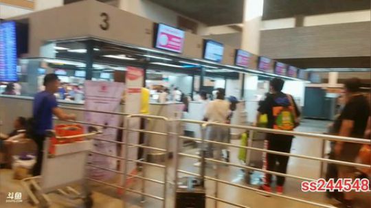 睿智兄弟闯泰国，今天回国 2019-12-30 16点场