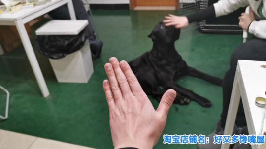 我在斗鱼看无尽无尽的无尽直播美食