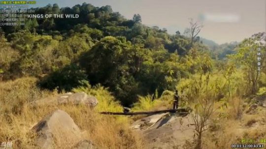 户外遛狗王飞哥发布了一个斗鱼视频2019-12-31