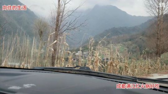 派导上山做饭(≧ω≦)/ 2019-12-31 13点场