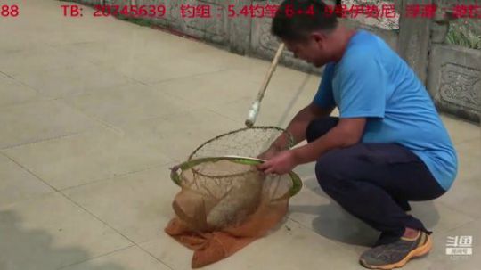 录像tv中...... 2019-12-31 18点场