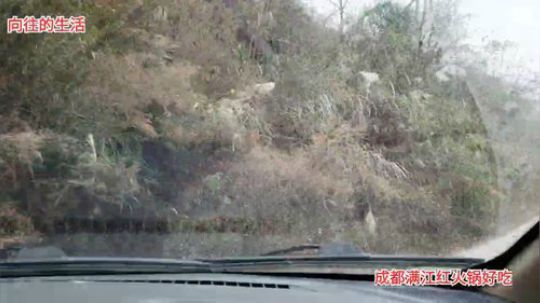 派导上山做饭(≧ω≦)/ 2019-12-31 13点场