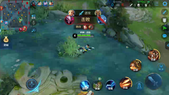 白锋马克菠萝