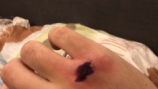 新鲜热乎的明天看状态尼玛！元旦中奖了