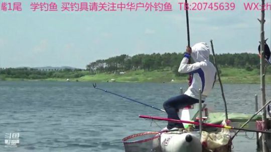录像tv中...... 2019-12-31 22点场