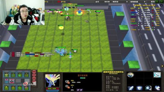 铁公鸡血统优化项目带头人~ 2020-01-02 00点场