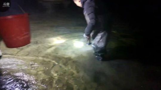 晚上抓鱼美食。 2020-01-02 18点场