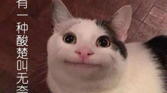 最强陀螺仪 极限身法 恶臭莽夫