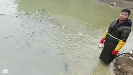 赶集水库拉网。 2020-01-03 11点场