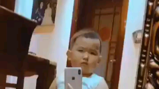 枣上豪