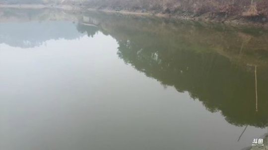 赶集水库拉网。 2020-01-03 09点场