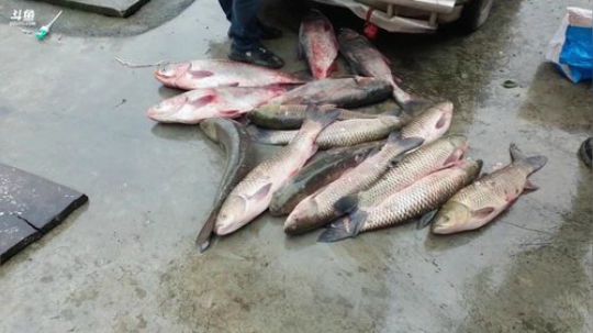 赶集水库拉网。 2020-01-03 13点场