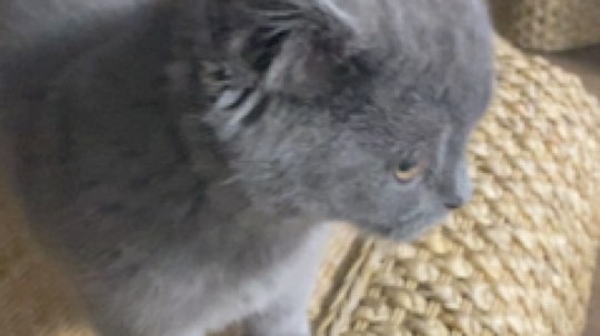 皮西蒙丷发布了一个斗鱼视频2020-01-03