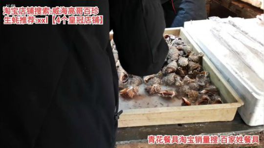 龙马精神丶老狼哥发布了一个斗鱼视频2020-01-03