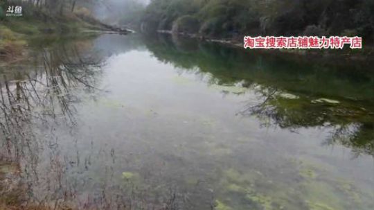 河道放小地笼。 2020-01-04 11点场