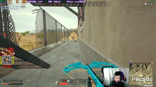 我在斗鱼看pigff直播绝地求生