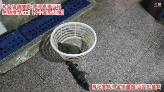 西北老狼哥哥发布了一个斗鱼视频2020-01-04