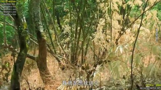 静思世语发布了一个斗鱼视频2020-01-05