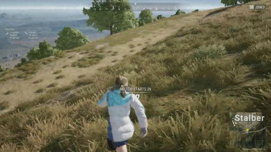 紫蓝Perse:新年新气象~ 2020-01-03 20点场