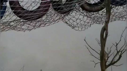 《新的开始》紧急集合——D2两点30 2020-01-05 16点场