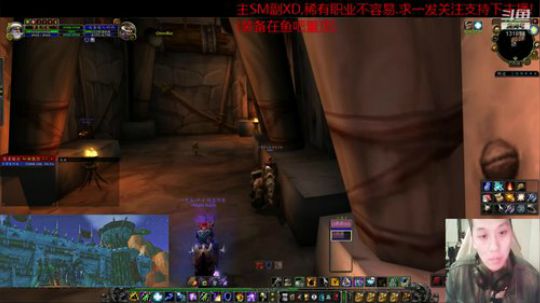 萨满 元素 PVP-MC后挑战席瓦! 2020-01-01 18点场