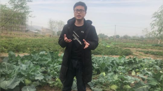 皇室战争海报城市打卡签到赢福利