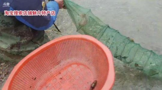 科头溜子发布了一个斗鱼视频2020-01-07