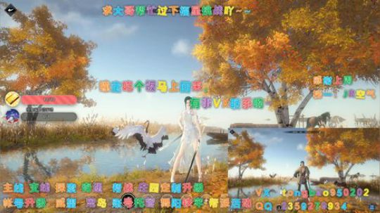 【鸽子瞳】2020一直相伴~~ 2020-01-07 06点场