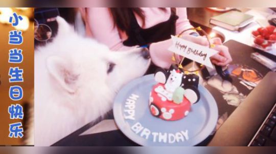小当当生日视频，可可爱爱❤