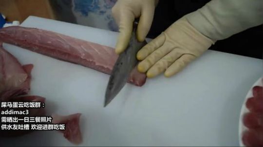 西北老狼哥哥发布了一个斗鱼视频2020-01-09