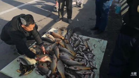 科头溜子发布了一个斗鱼视频2020-01-09
