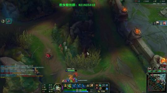国服第？豹女 2020-01-10 20点场