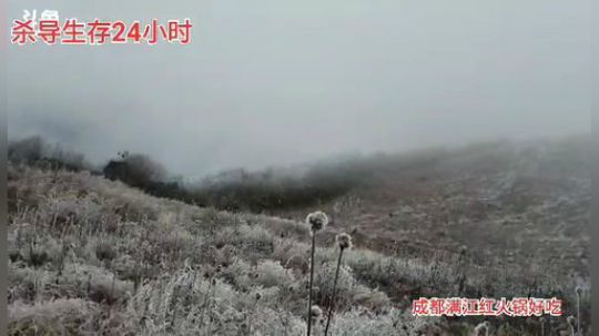 望山国际大酒店再见(≧ω≦)/ 2020-01-10 08点场