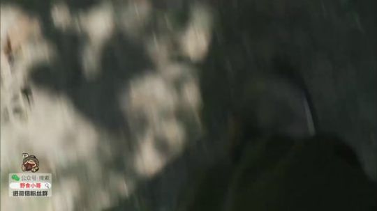 哆啦爱梦梦发布了一个斗鱼视频2020-01-10