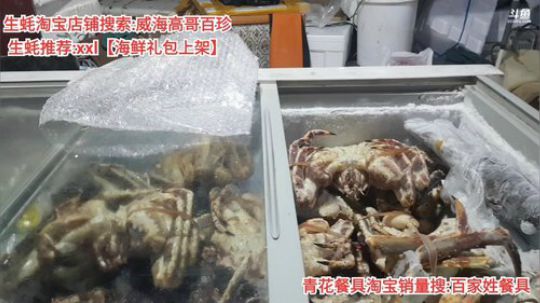 西北老狼哥哥发布了一个斗鱼视频2020-01-11