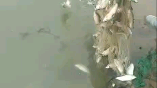 小爆网