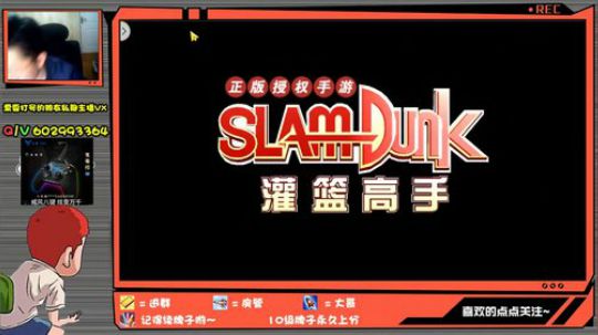 芹泽：鲨鱼杯D组，官方解说 2020-01-11 02点场