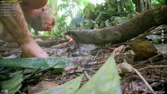 静思世语发布了一个斗鱼视频2020-01-12