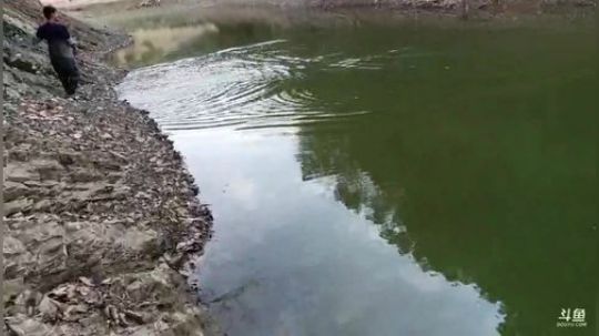 继续干个小水库。 2020-01-12 13点场