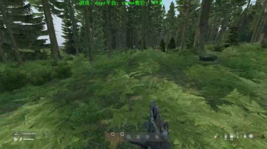 dayz僵尸末日 840351 2020-01-11 20点场