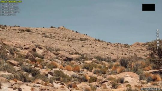 静思世语发布了一个斗鱼视频2020-01-13