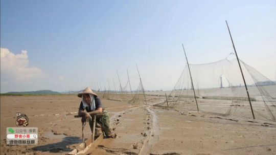 我在斗鱼看野食小哥直播美食