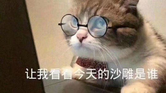 啊，沙雕是我吗？