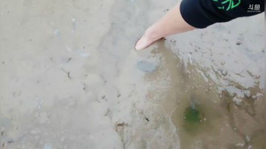 湖区插甲鱼 2020-01-14 11点场