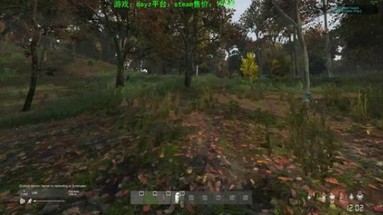 dayz僵尸末日 840351 2020-01-13 17点场